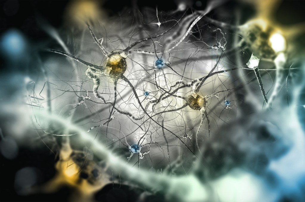 Neurony lustrzane – jak wpływają na postrzeganie przez nas świata?